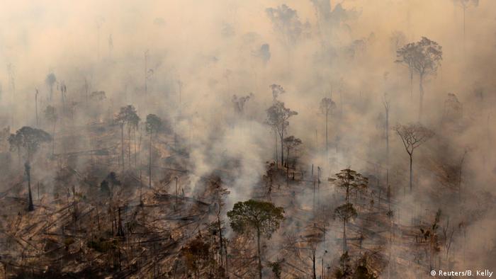Deforestación con la ayuda de incendios en el Amazonas brasileño.
