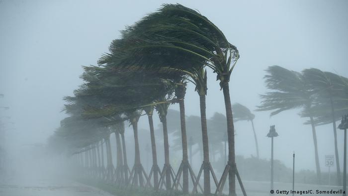 USA Florida Hurrikan Irma (Getty Images/C. Somodevilla)