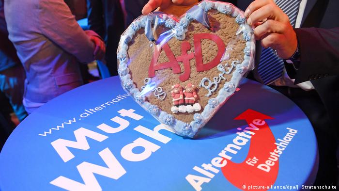 Bundestagswahl 2017 | AfD Symbolbild (picture-alliance/dpa/J. Stratenschulte)