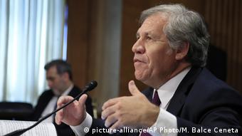 USA OAS-Generalsekretär Luis Almagro (picture-alliance/AP Photo/M. Balce Ceneta)