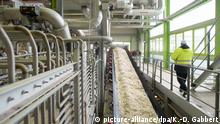 Deutschland Zucker und Bioethanolproduktion angelaufen