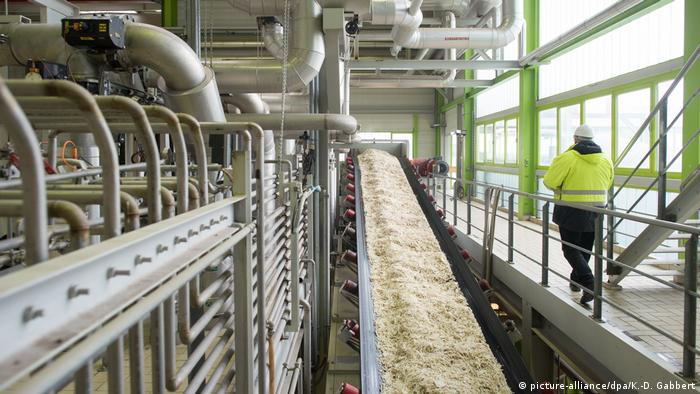 Deutschland Zucker und Bioethanolproduktion angelaufen (picture-alliance/dpa/K.-D. Gabbert)