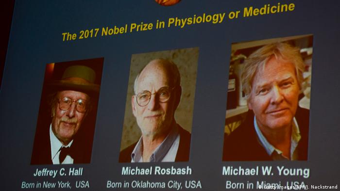 Schweden - Vergabe des Nobelpreises für Medizin - Jeffrey C. Hall, Michael Rosbash and Michael W. Young (Getty Images/AFP/J. Nackstrand)