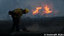 USA Mehr als 20 Tote bei den Bränden in Kalifornien 