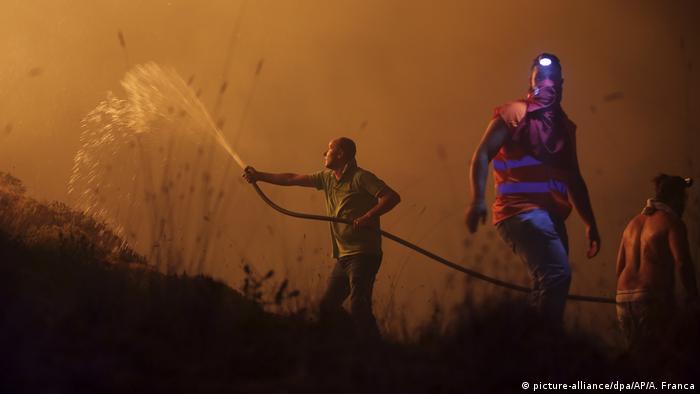 Portugal Waldbrände (picture-alliance/dpa/AP/A. Franca)