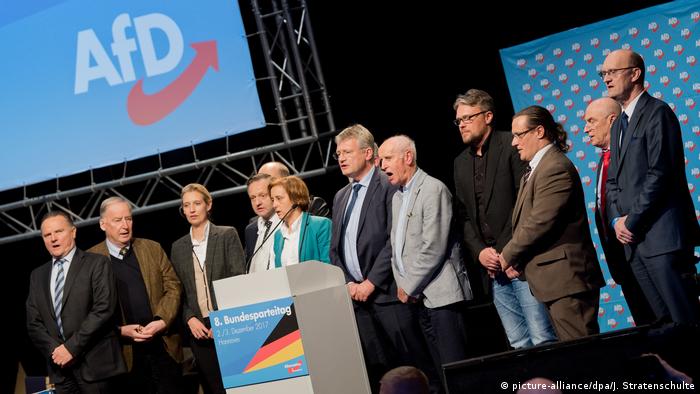 Hannover AfD Parteitag Nationalhymne (picture-alliance/dpa/J. Stratenschulte)