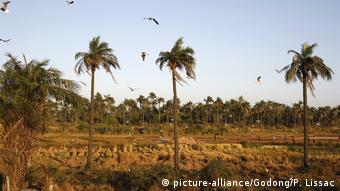 Senegal Casamance (picture-alliance/Godong/P. Lissac)