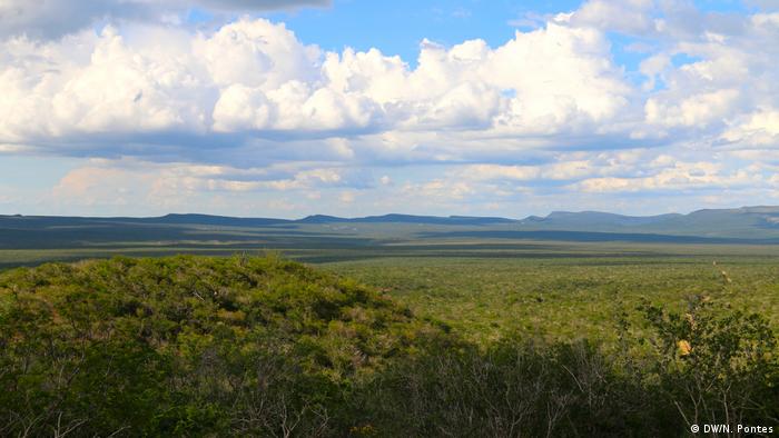 Boqueirão da Onça: faixa mais longa da caatinga ainda preservada