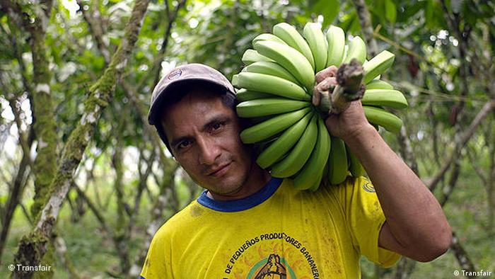 Homem carrega cacho de banana.