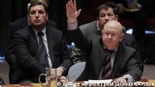 USA Wassili Nebensja , UN-Sicherheitsrat zu Syrien