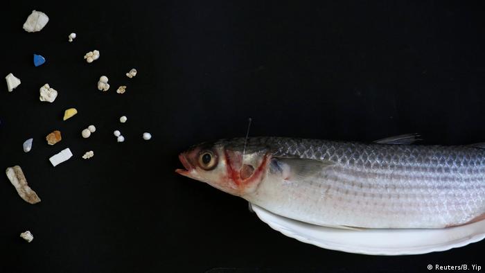 Mikroplastik Fisch (Reuters/B. Yip)