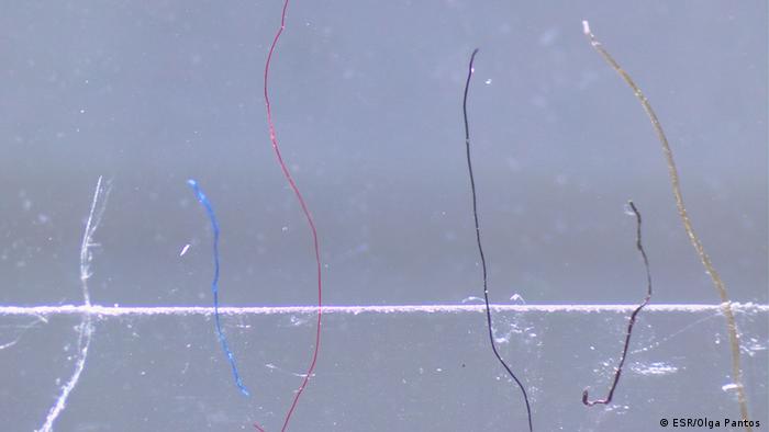 Close up of fibers captured from nappy wash 