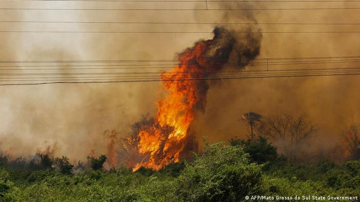 Fogo em Corumbá: chamas chegam a seis metros de altura