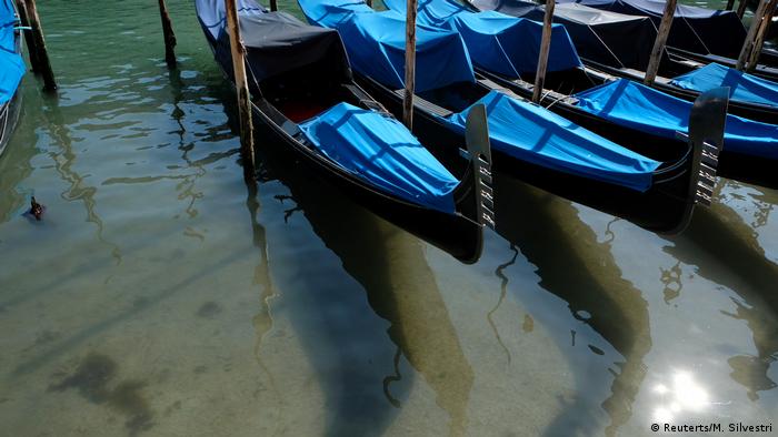 Wildlife Conservation Research - Gondolas on the clear waters of Venice canals 