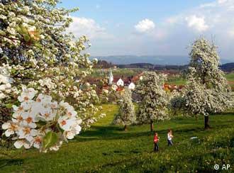 السياحة في ألمانيا بين جمال الطبيعة وصخب الحياة تعرف على ألمانيا