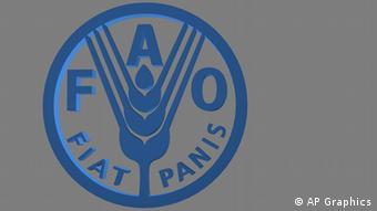 Η εκτροφή εντόμων είναι αποδοτική και περιβαλλοντικά υπεύθυνη, τονίζει ο FAO