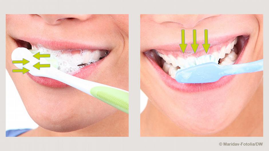 خمس نصائح لتشجيع طفلك على تنظيف أسنانه منوعات نافذة Dw عربية