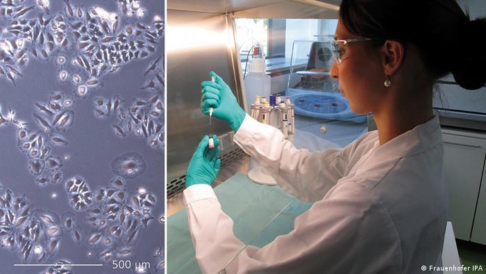 Deutschland Messe Biotechnica Nanozwerge als Tumorkiller