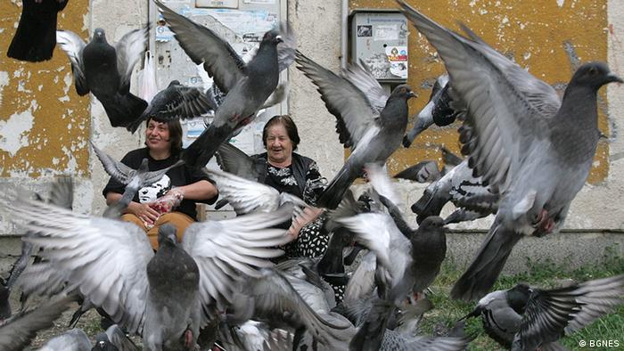 Жени хранят гълъби