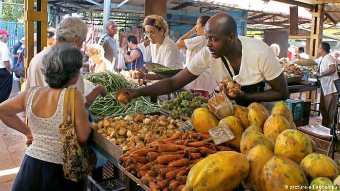 Kuba Markt Marktplatz Einkaufen Konsum Lebensmittel (picture-alliance/dpa)