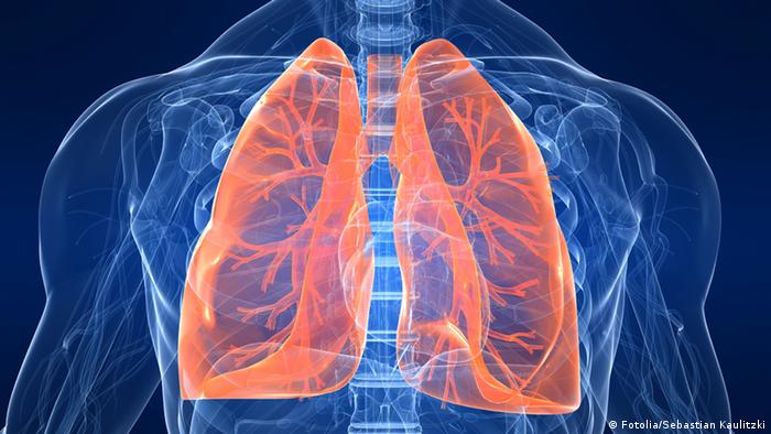 Symbolbild menschliche Lungen (Fotolia/Sebastian Kaulitzki)