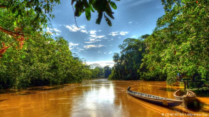 Yasuni-Nationalpark im ecuadorianischen Amazonasdschungel