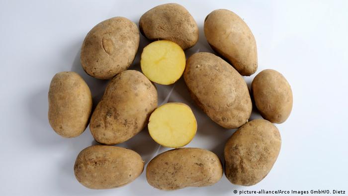 Deutschland Kartoffel des Jahres 2015 Heideniere