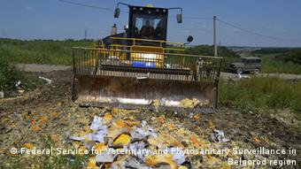 Russland Vernichtung westliche Lebensmittel Sanktionen Importverbot (Federal Service for Veterinary and Phytosanitary Surveillance in Belgorod region)