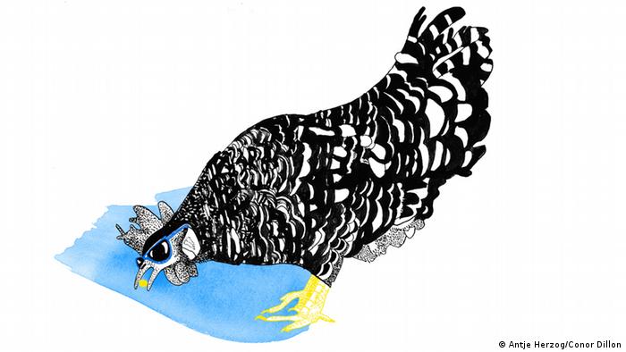  Auch ein blindes Huhn findet mal ein Korn Illustrationen Kultur DW exclusiv Projekt Sprichwörter 