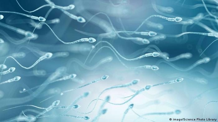 Кожного року чоловіча сперма акумулює в середньому дві нові мутації у своїй ДНК