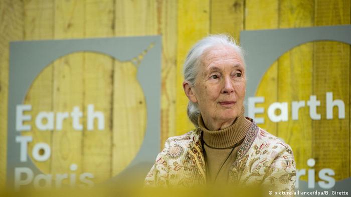 Frankreich COP21 Klimafonferenz Jane Goodall (picture-alliance/dpa/B. Girette)