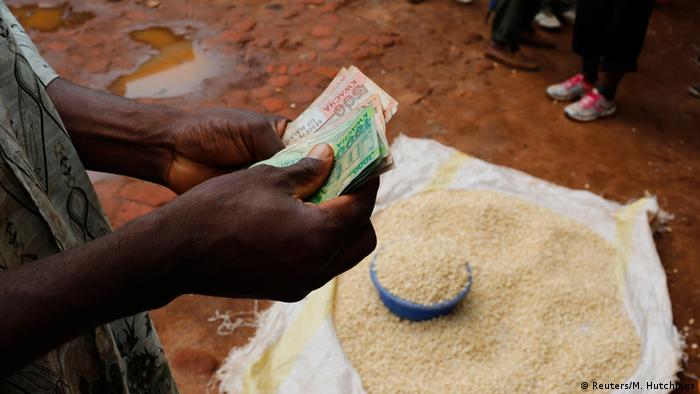 Hands counting money above a sack full of maize (Reuters/M. Hutchings)