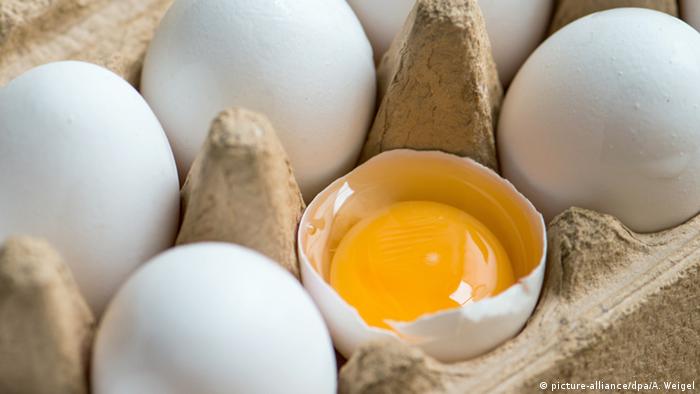 Eggs in an egg carton with one broken (picture-alliance/dpa/A. Weigel)