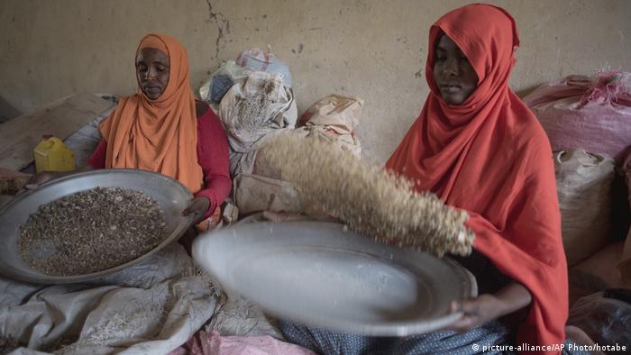 Two women sorting frankincense gum in Burao Somaliland (picture-alliance/AP Photo/hotabe)