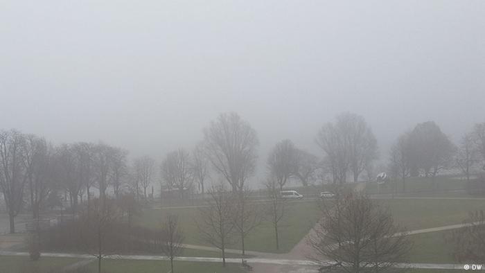 Foggy view of Rhine (DW)