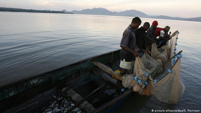 A family of fishermen check their nets in the early morning on the Kenyan side of Lake Victoria (picture-alliance/dpa/S. Morrison)