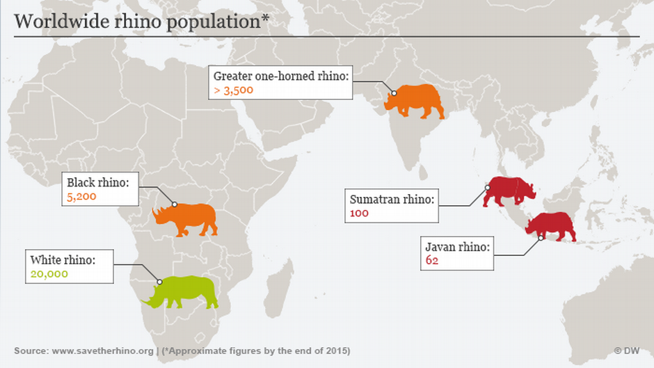 where do black rhino live