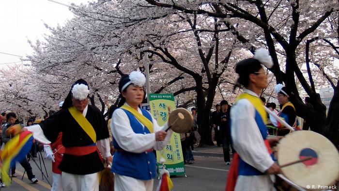 Japan Kirschblütenfest (R. Primack)