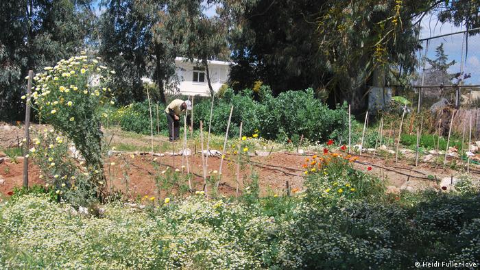 Guerrilla Gardeners Fight Hopelessness In Greece Environment