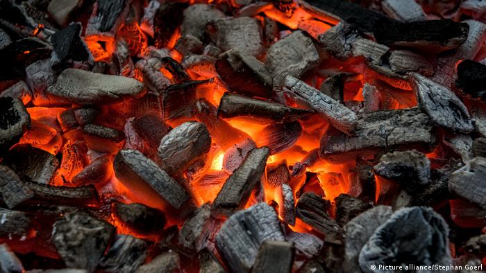 Barbecuing Sustainably How Not To Burn Rainforests In Our Grills