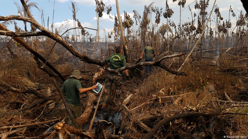 Brasilien Kampf gegen die Abholzung des Regenwaldes 