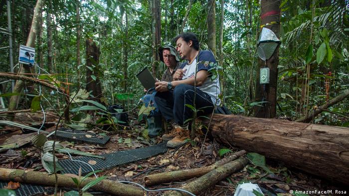 Pesquisadores do projeto Amazon-Face, que testará emissão de grandes quantidades de CO2 na floresta para avaliar reação às mudanças climáticas