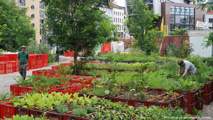 Transforming German Cities Into Organic Food Gardens Environment