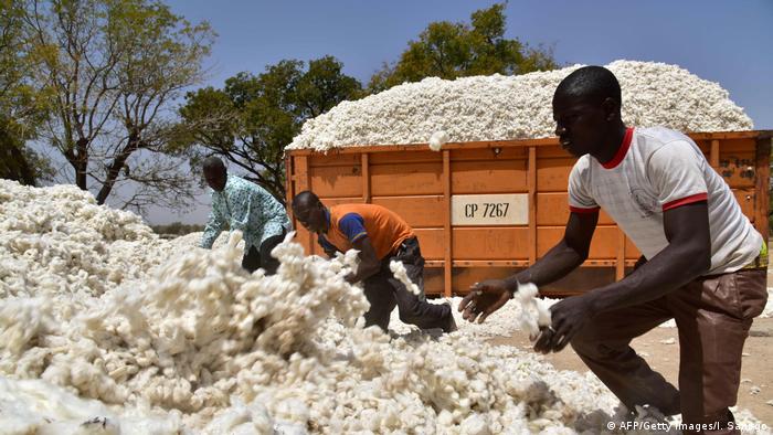 Three Burkinabe men toss freshly picked cotton onto a heap. Behind them is a truck piled high with cotton. (AFP/Getty Images/I. Sanogo)