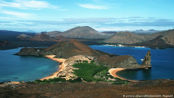Ecuador Galapagosinseln (picture-alliance/blickwinkel/A. Maywald)