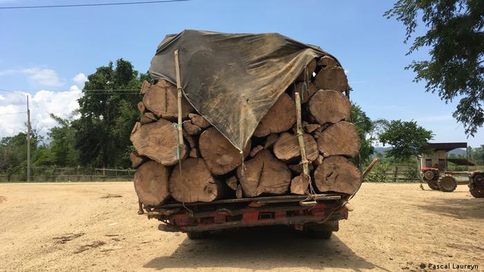 Caminhão apreendido com carregamento de troncos originários de desmatamento ilegal no Camboja