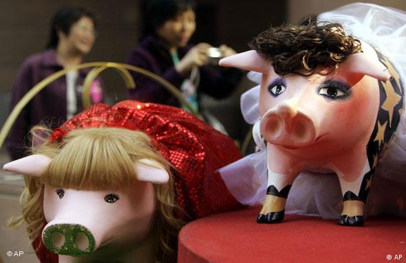 Schweine in Hongkong chinesisches Neujahr (AP)
