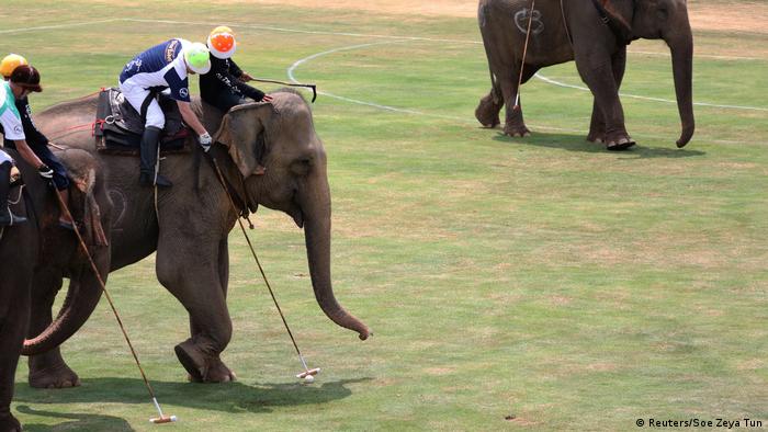 Thailand Polo-Sport mit Elefanten (Reuters/Soe Zeya Tun)