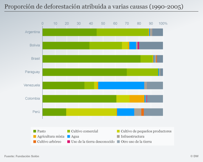 Infografik Entwaldung Südamerika SPA