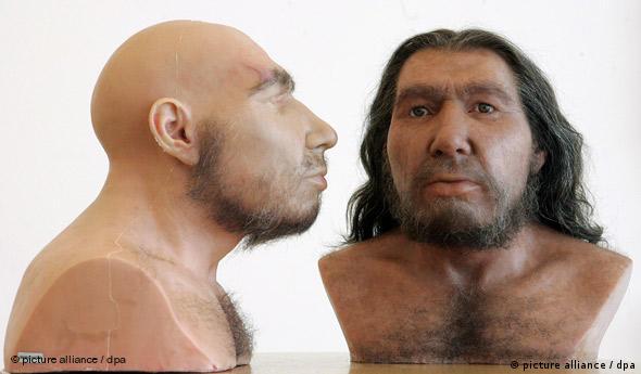 Scientists discover Neanderthal and human brain similarities | Science ...